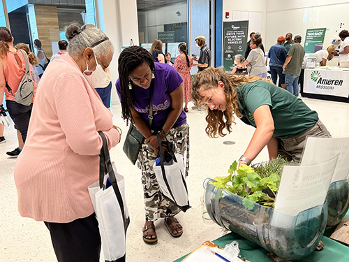 Visitors learn about rainscaping at the festival